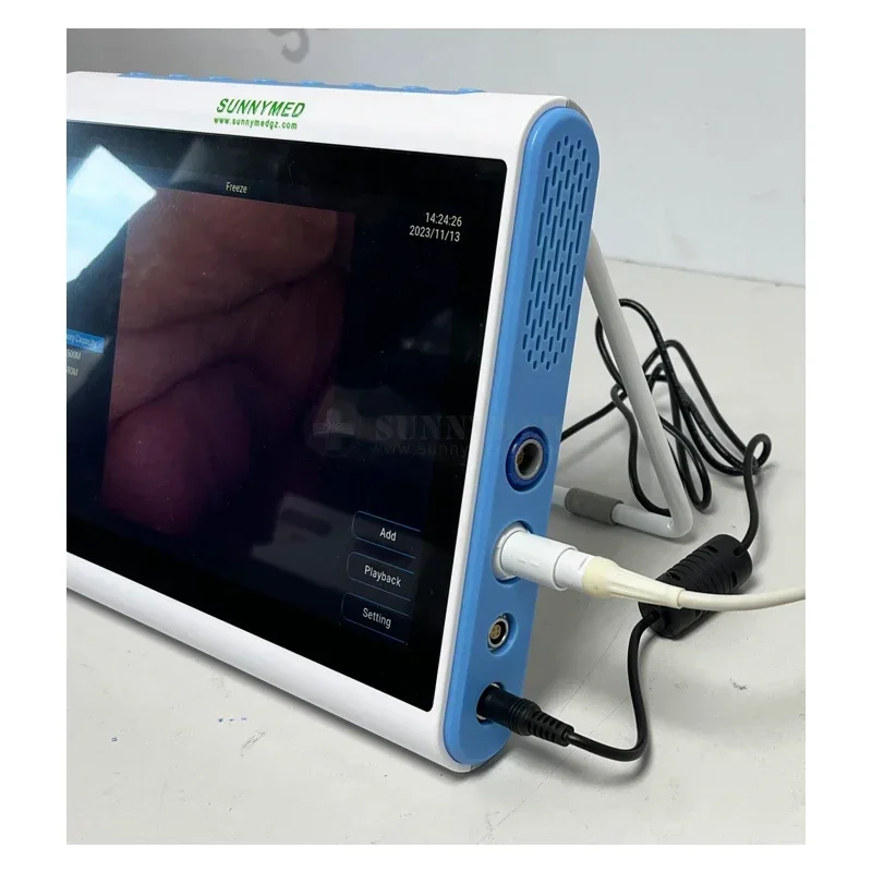 3‑In‑1 Medical Endoscopy Image - Medical Lab Images ulasan dan harga
