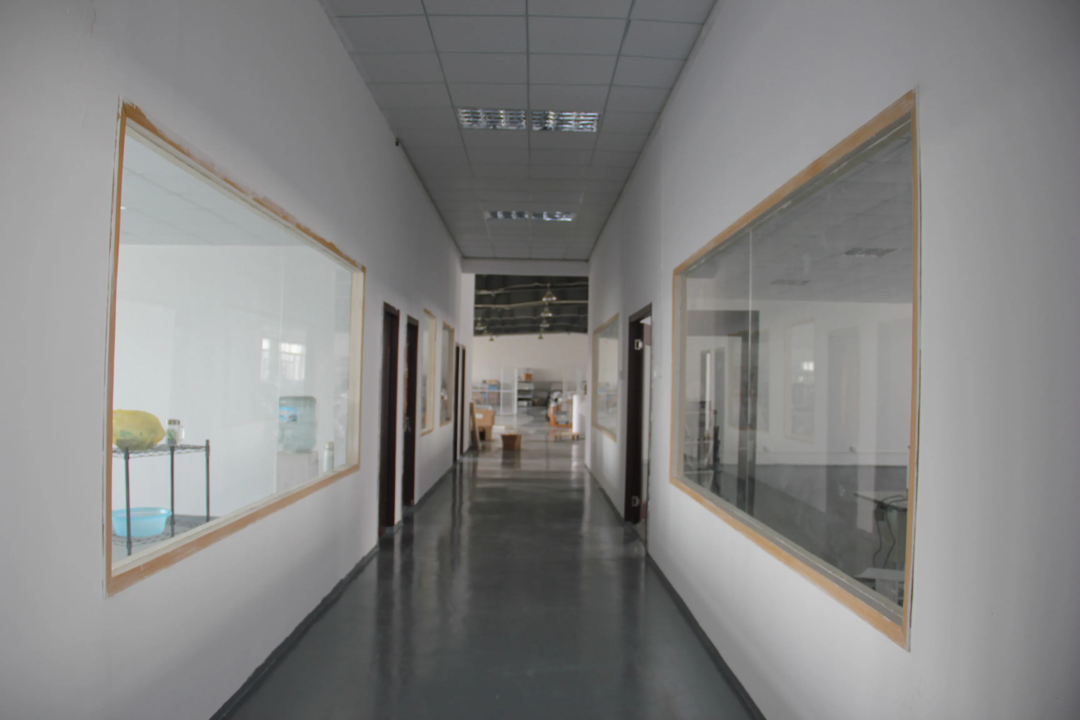 Automatic OCT Optical Coherenc - Medical Lab Images ulasan dan harga