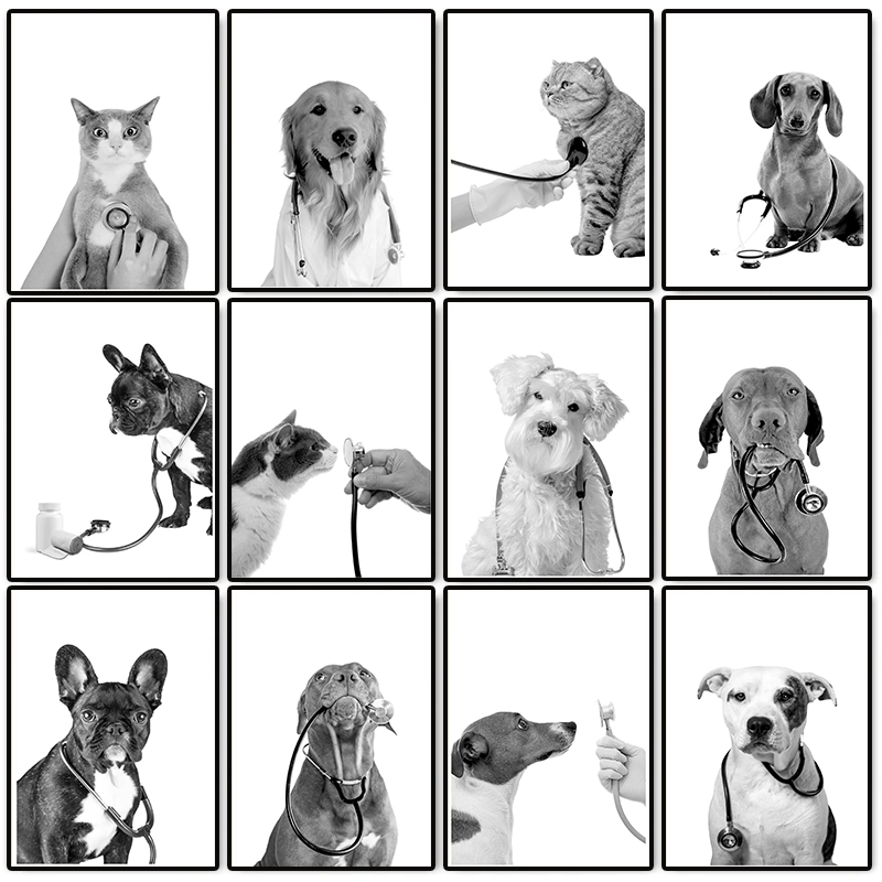 Animal Doctor Vet Med Poster D - Stethoscope ulasan dan harga